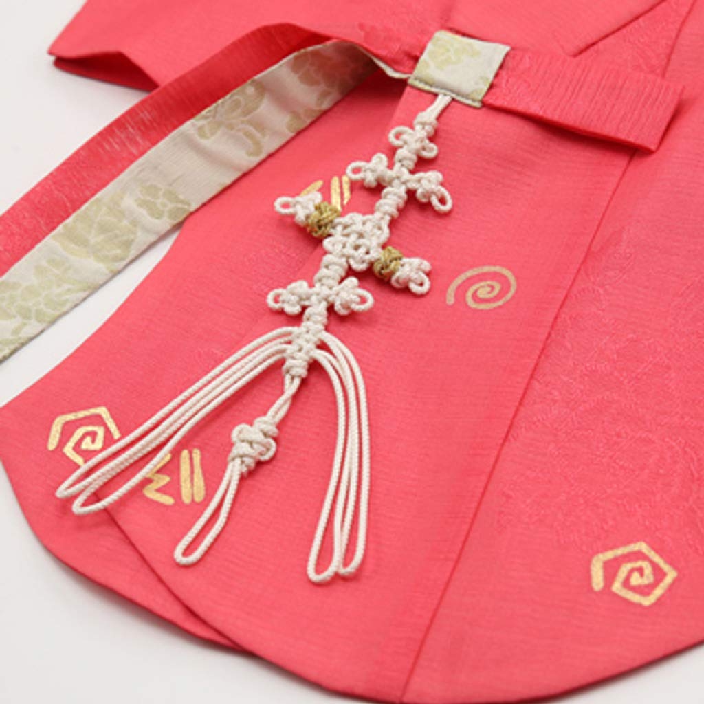 Korean Hanbok Traditional Dress for Girls - Baby & Toddler Birthday, New Year, Festival Costume (CG1911) | Perfect for Cultural Events, Photo Shoots & Special Occasions