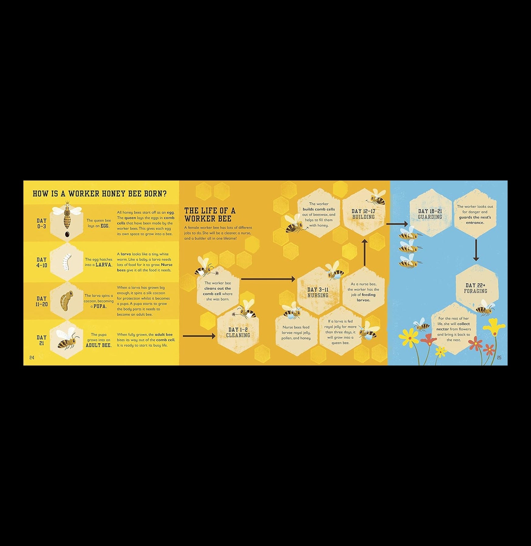 The Bee Book: Conservation Guide for Kids - Learn About Bees, Pollination & How to Protect Them | Perfect for Classroom, Homeschool & Nature Lovers