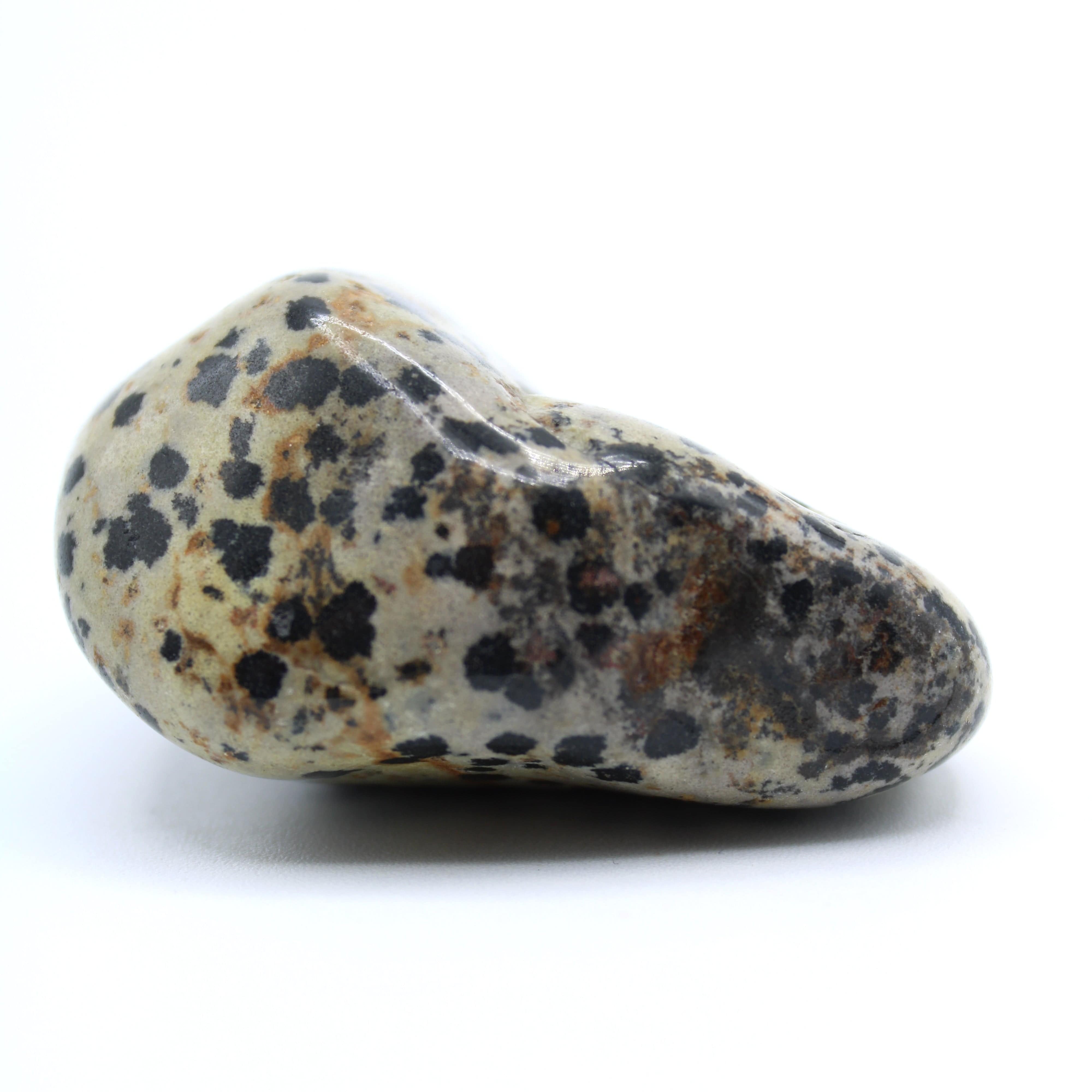 Natural Dalmatian Jasper Free Form Stone - Healing Crystal for Meditation, Energy Balance & Home Decor | Perfect for Yoga, Reiki & Spiritual Practices