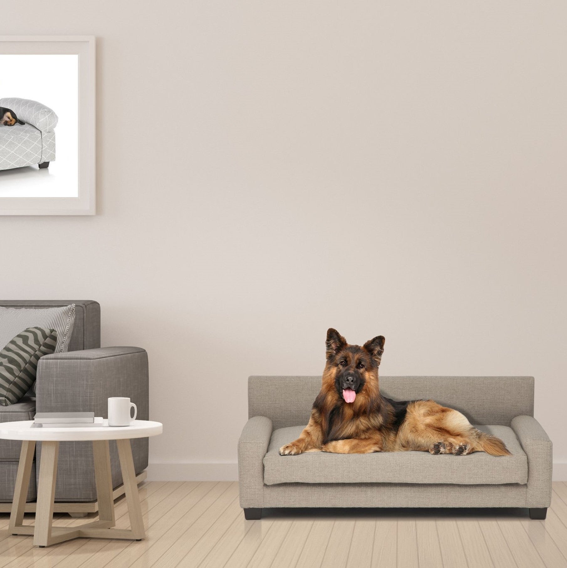 Club Nine Pets Metro Orthopedic Dog Bed - Medium Support Memory Foam for Large Dogs - Washable Cover & Waterproof Liner - Perfect for Arthritis, Joint Pain & Senior Dogs - Ideal for Living Room, Bedroom or Crate