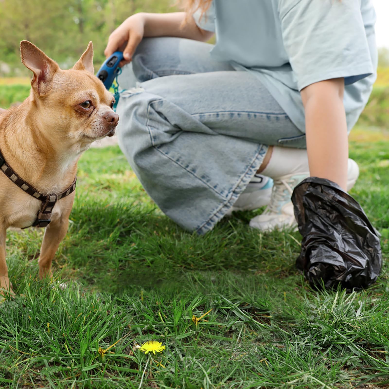 Sadstory 1400 Count Dog Waste Bags with Dispenser - 40 Rolls of Biodegradable Poop Bags for Dogs | Perfect for Park Walks, Backyard Cleanup & Travel