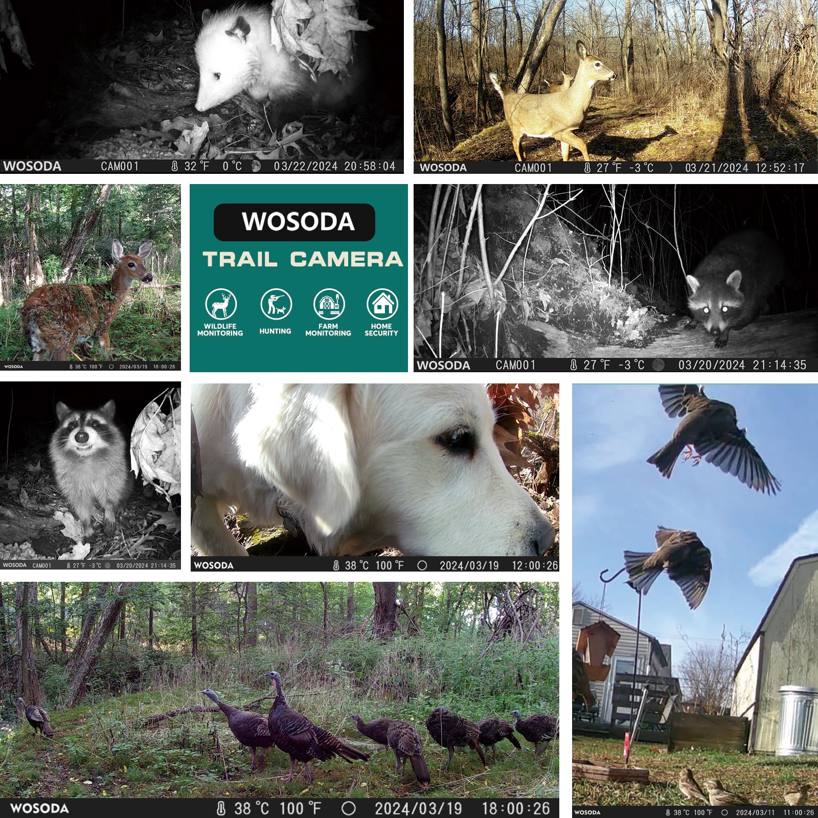 4K 48MP Mini Trail Camera 3 Pack - Hunting Game Camera with 2.0'' LCD Screen, Night Vision, Motion Activated & Waterproof - 120° Wide-Angle No Glow LEDs for Outdoor Wildlife Monitoring, Security & Nature Observation