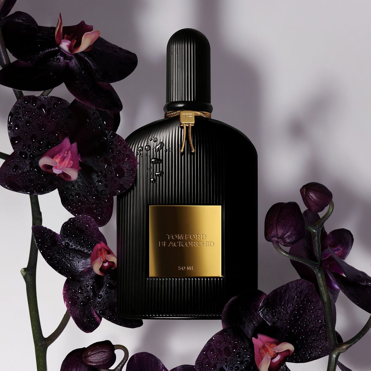 Black Orchid Body Spray for Women - Long Lasting Floral Fragrance | Perfect for Daily Use, Work & Special Occasions