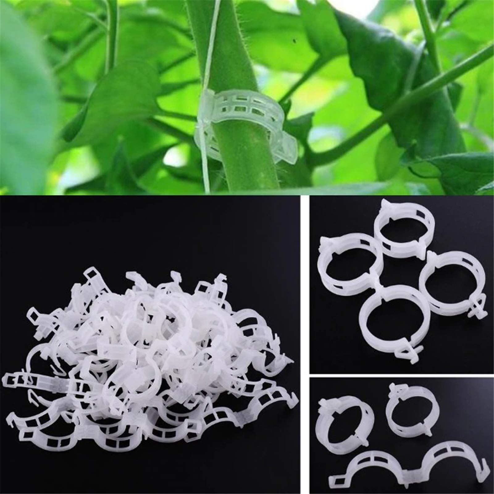 200 Pcs Plastic Garden Plant Support Clips - 1 Inch/25mm Vine Fixing Clips for Tomatoes, Sweet Peppers, Eggplants | Ideal for Home Gardening, Greenhouses & Vertical Farming