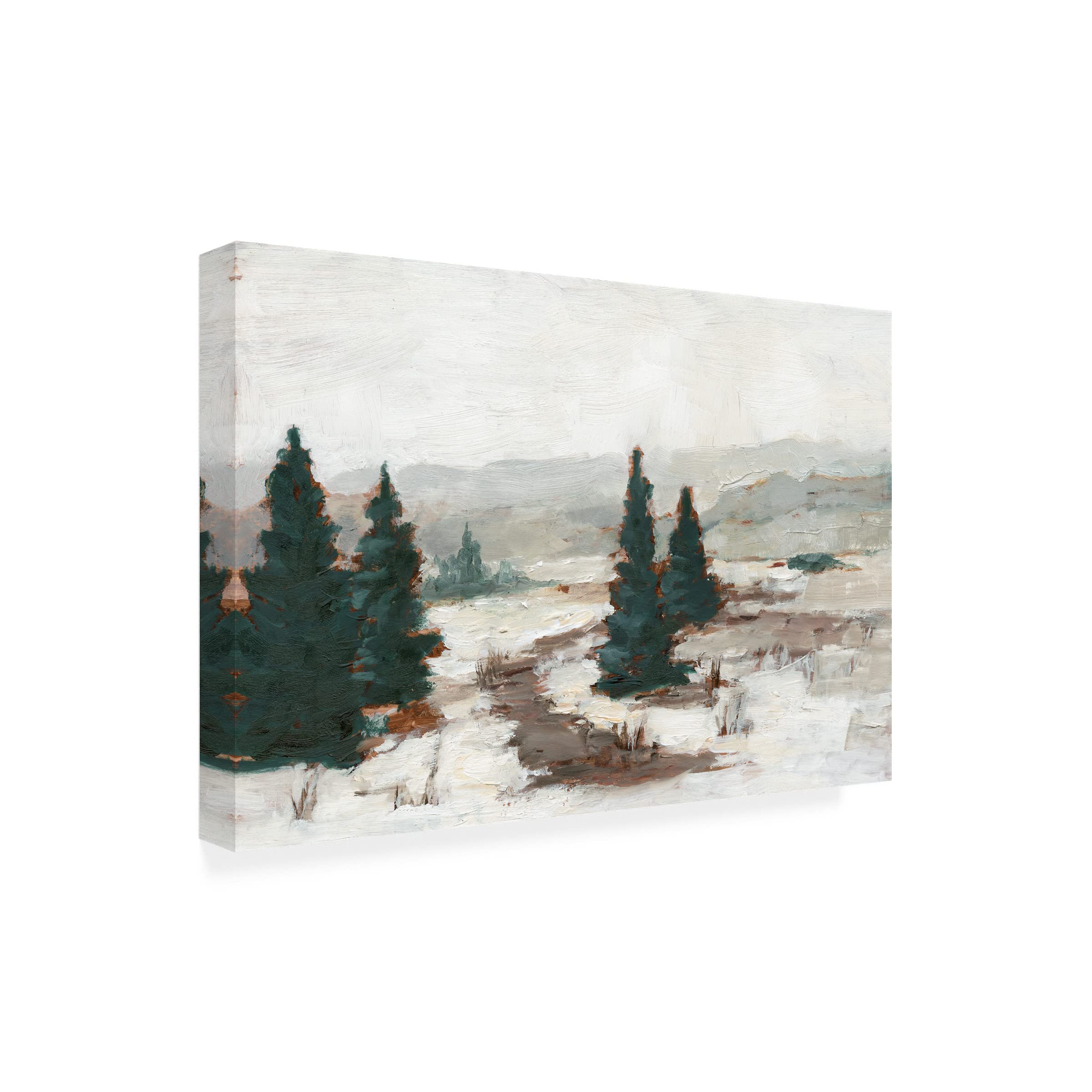 Ethan Harper 'Melting Snow I' Canvas Wall Art Print - 16x24 Inches Winter Landscape Painting for Living Room, Bedroom & Office Decor