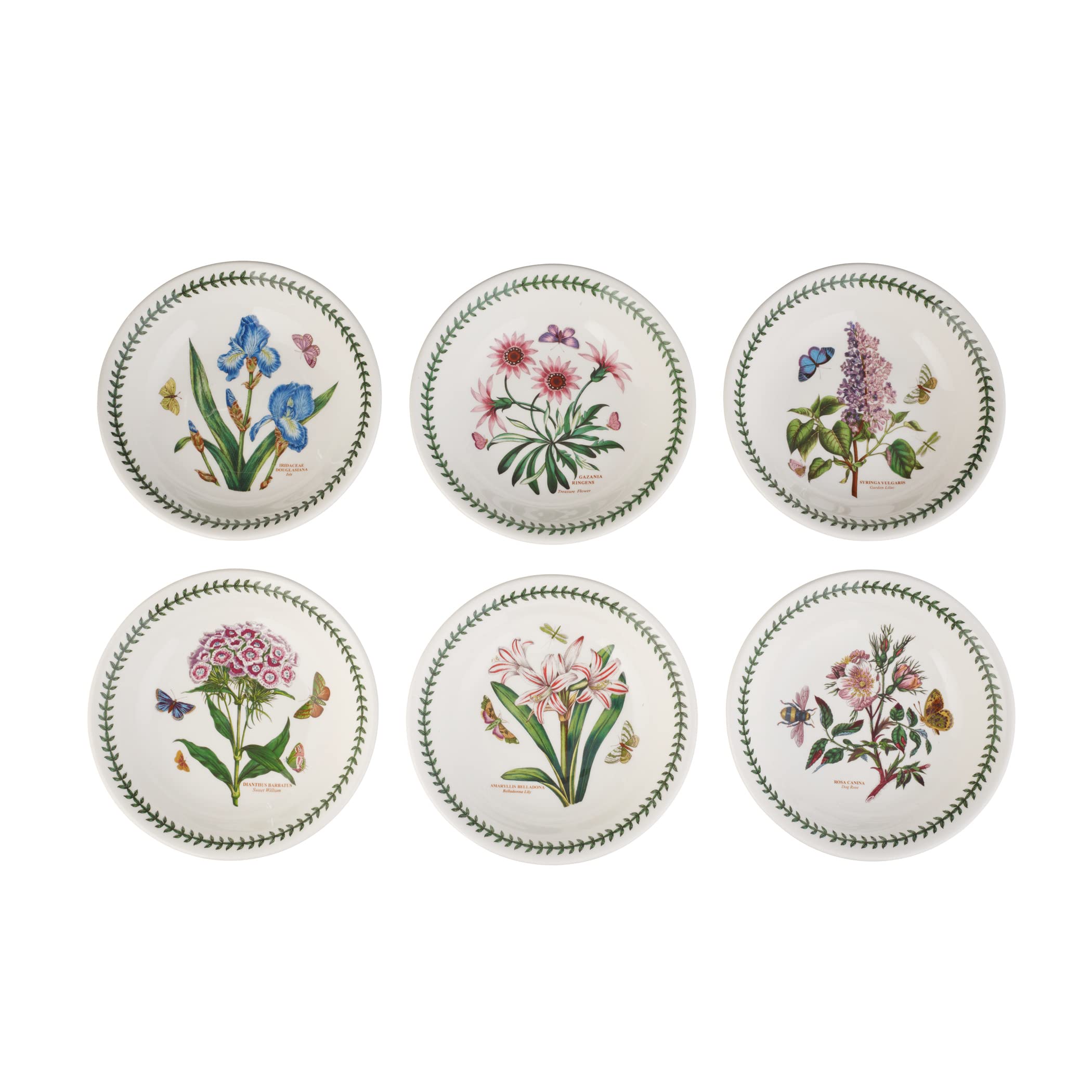 Portmeirion Botanic Garden Pasta Bowl Set - 6 Piece 8.5 Inch Fine Earthenware Dinnerware | Microwave & Dishwasher Safe | English Made Floral Design Bowls | Perfect for Italian Dining, Family Gatherings & Gift Giving