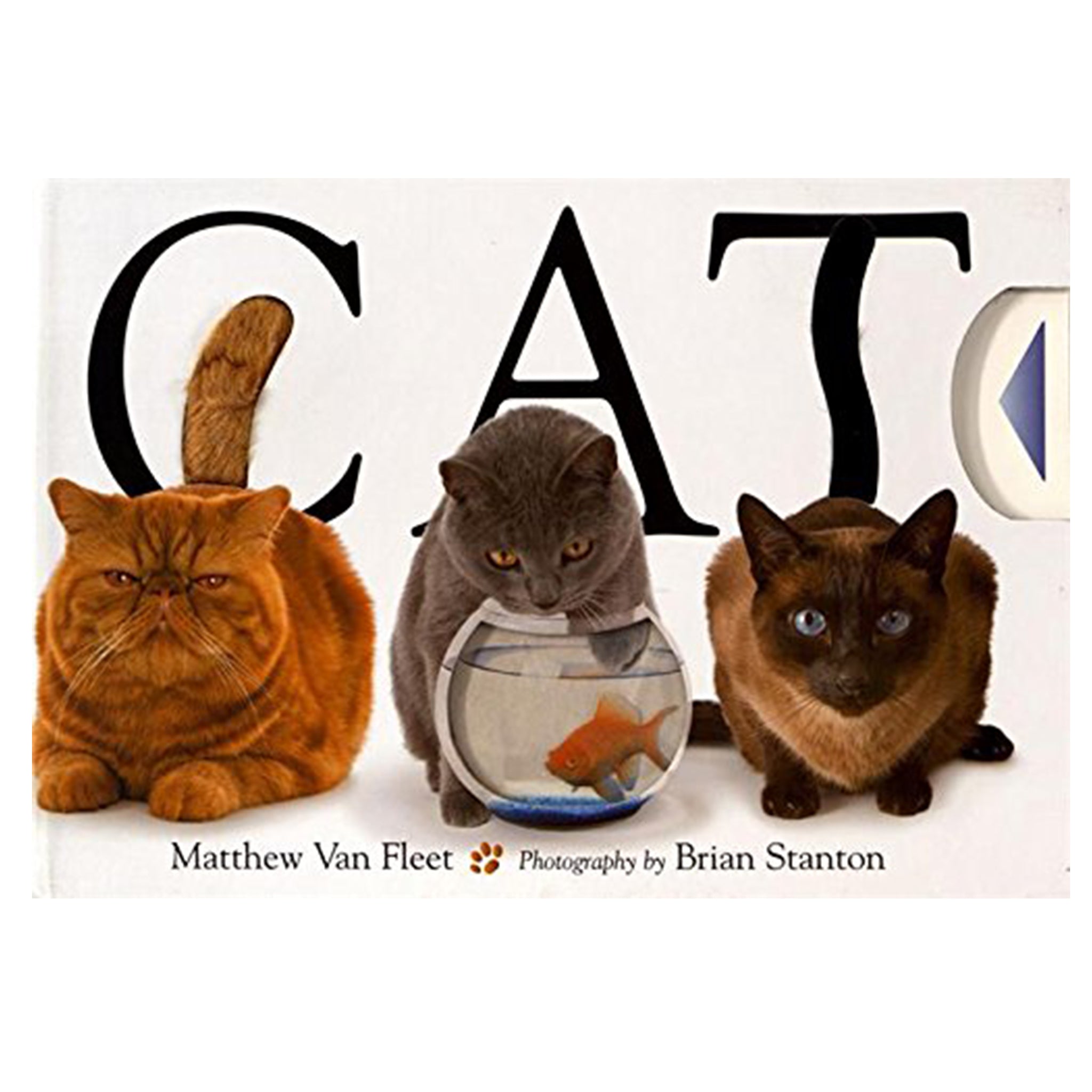 Interactive CAT Book for Kids Ages 2-7 Years | Fun Early Learning & Reading Activity | Perfect for Preschool Education & Bedtime Stories