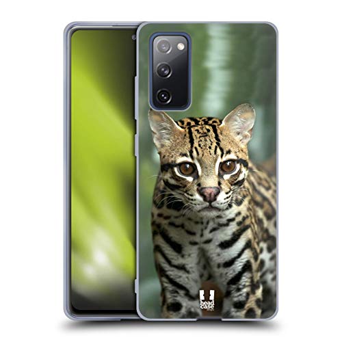 Closeup Of An Ocelot