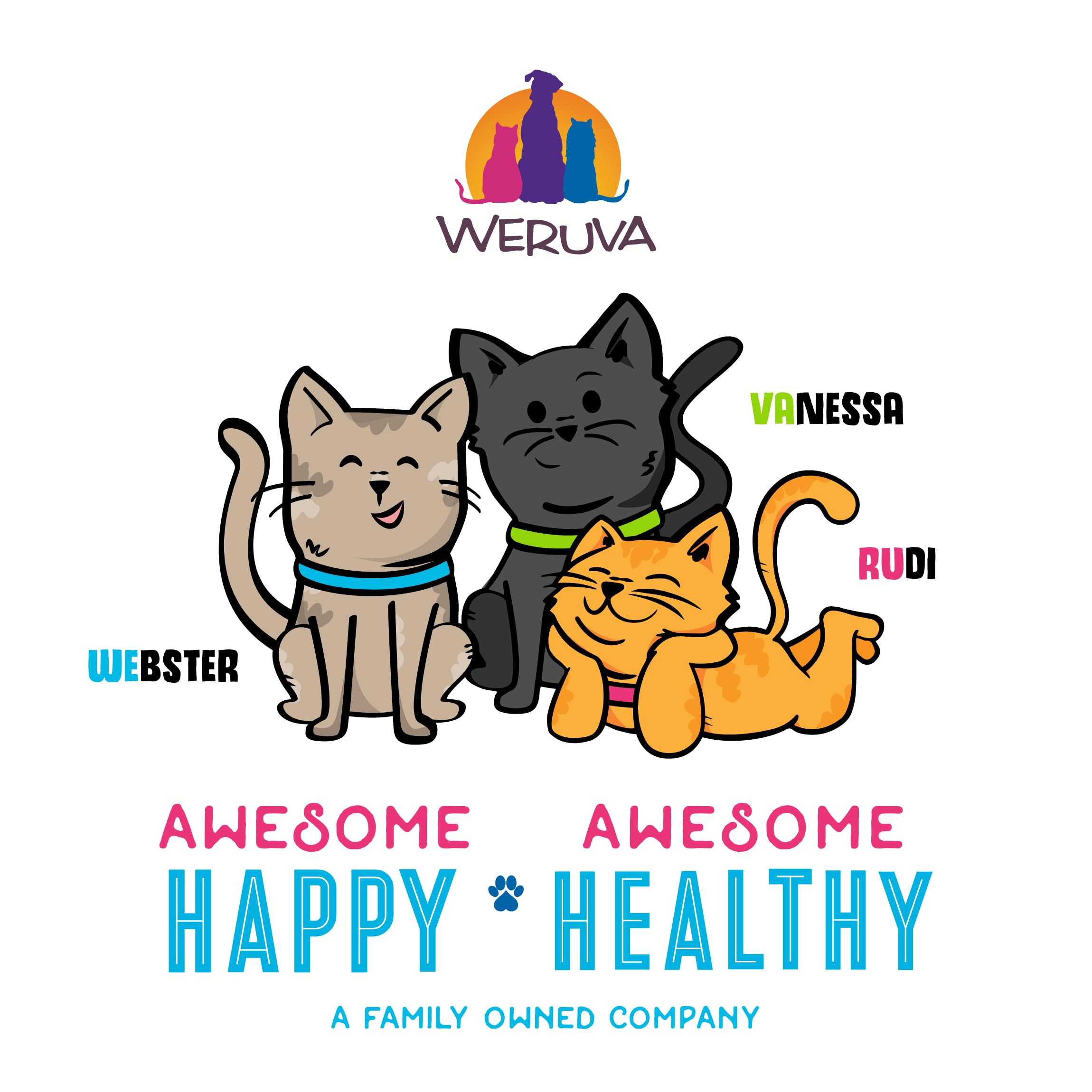 Weruva B.F.F. OMG Best Feline Friend Oh My Gravy! Tuna & Turkey in Gravy Cat Food - Grain-Free, High Protein Wet Cat Food for Adult Cats, 3oz Pouch (Pack of 12) - Perfect for Mealtime, Travel & Treats