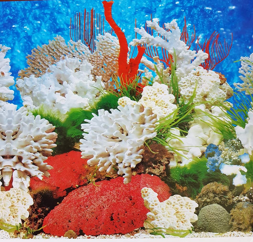Double Sided Aquarium Background Decor 60