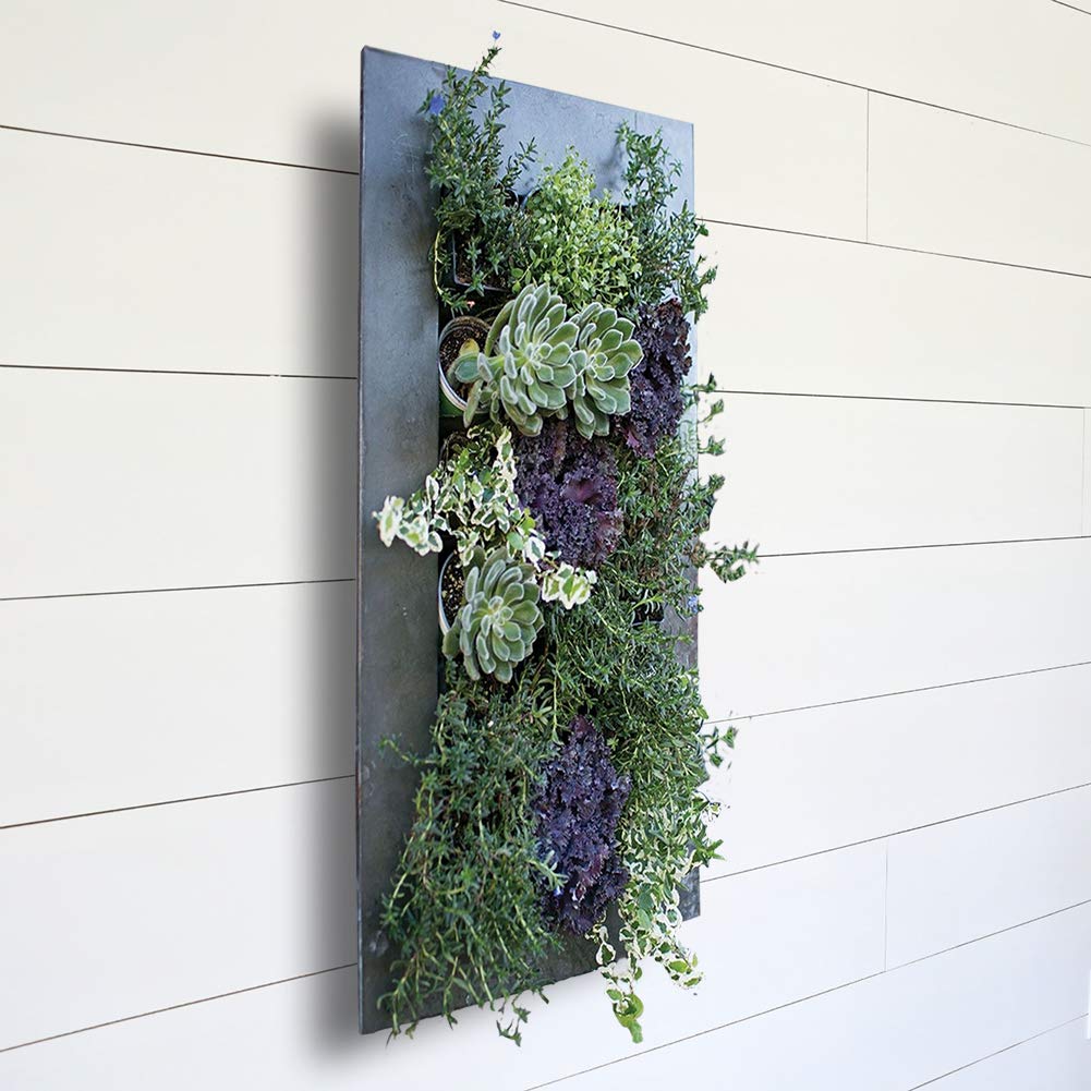 Modern Galvanized Steel Wall Planter for Succulents - Rust Zinc Finish, 12 Pocket Vertical Garden - Perfect for Indoor/Outdoor Home Decor, Living Room, Balcony & Office Spaces