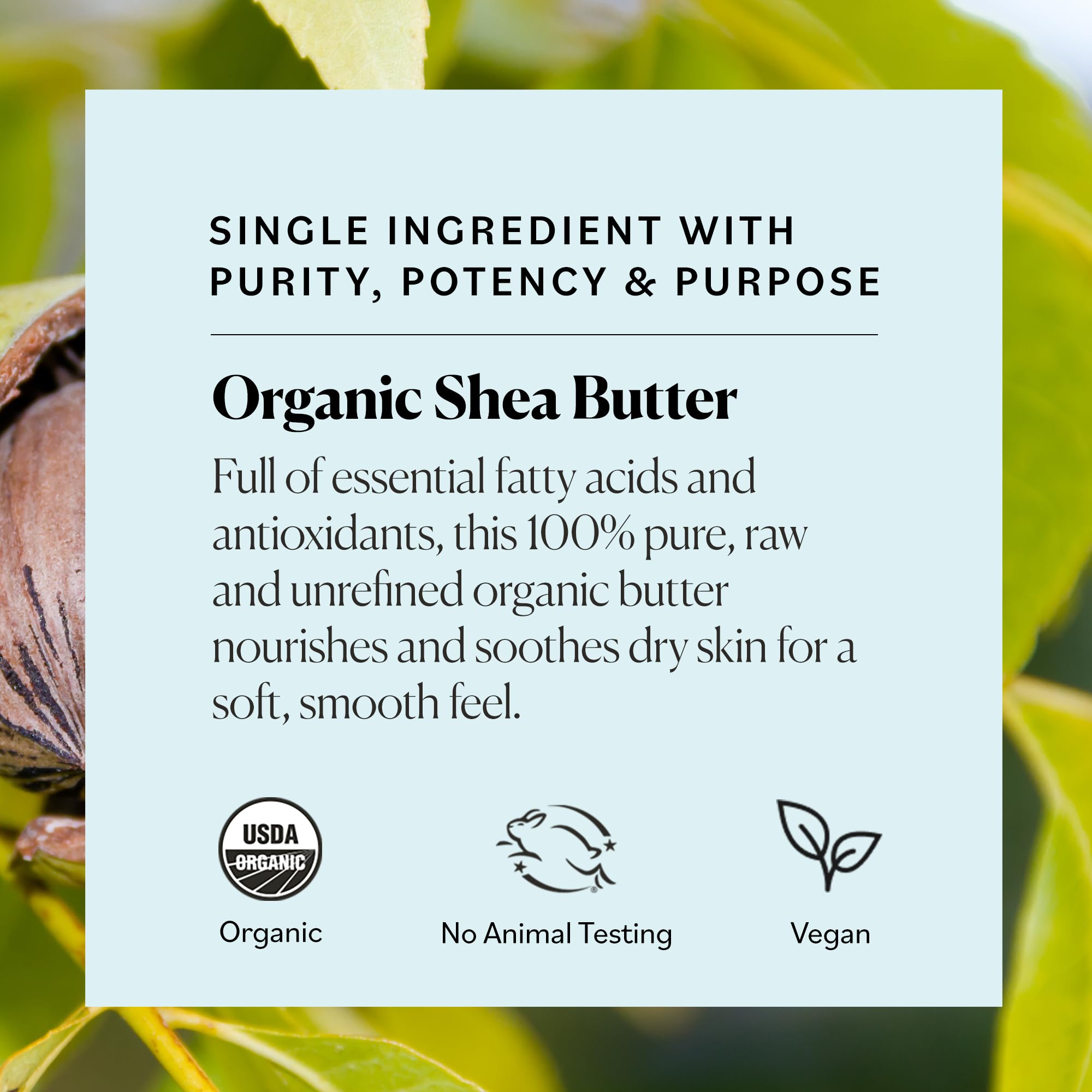 Sky Organics Sweet Almond Oil & Shea Butter - 100% Pure Natural Moisturizer for Skin & Hair Care - Perfect for Massage, DIY Beauty Recipes & Dry Skin Relief