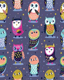 Cartoon Owls Nursery