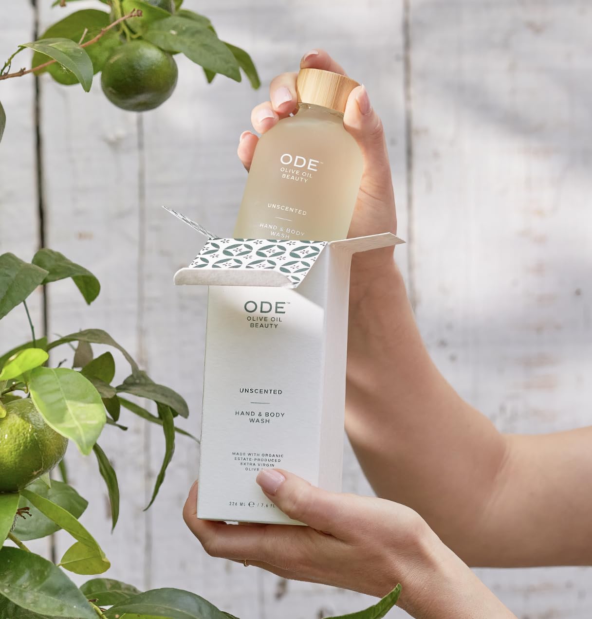 Organic EVOO Unscented Hand & Body Lotion 2-Pack by McEvoy Ranch | ODE Olive Oil Beauty | California Made | Daily Hydration for Dry Skin & Sensitive Skin Care | Perfect for Home, Office & Travel Use