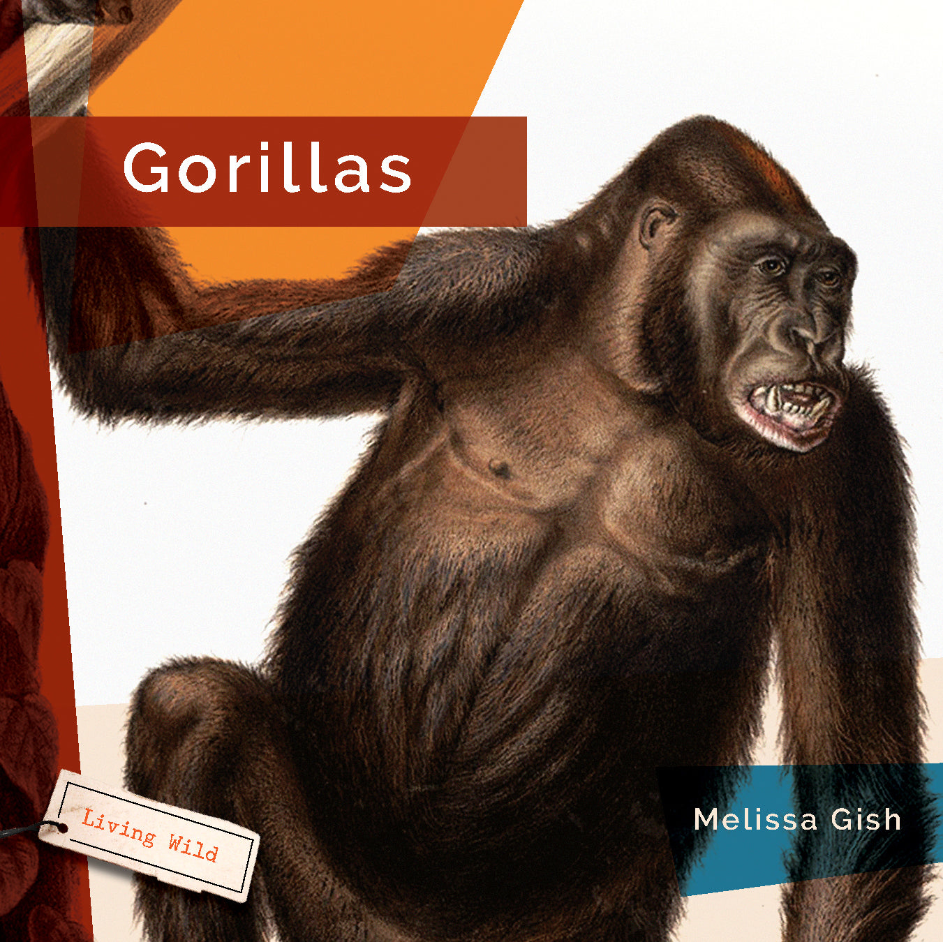 Gorillas Book 9781640265264 - Wildlife Education & Animal Facts for Kids, Nature Lovers & Classroom Learning