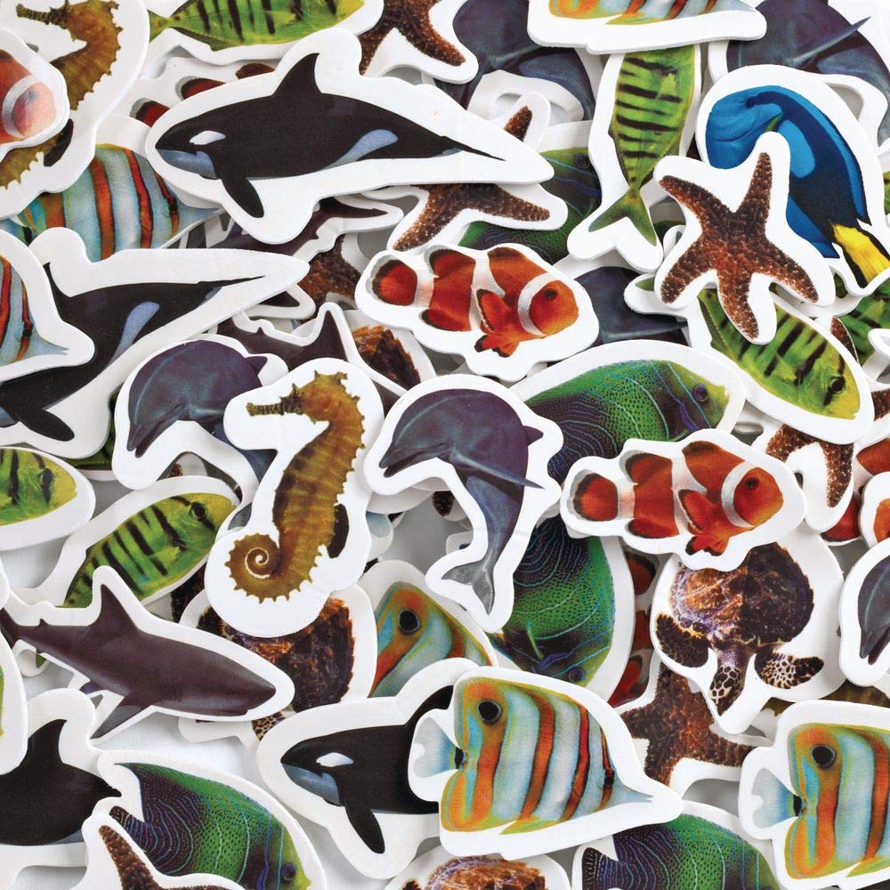 Colorations Sea Life Photo Real Foam Stickers - 250 Self-Adhesive Stickers for Kids, Scrapbooking, Crafts & Biology Projects | Ocean-Themed Art Supplies for Classroom, Homeschool & DIY Projects