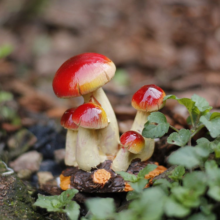 Mini Mushroom Figurines - Cute Decorative Mushroom Statues for Fairy Garden, Terrarium, Home Decor & Gift Ideas