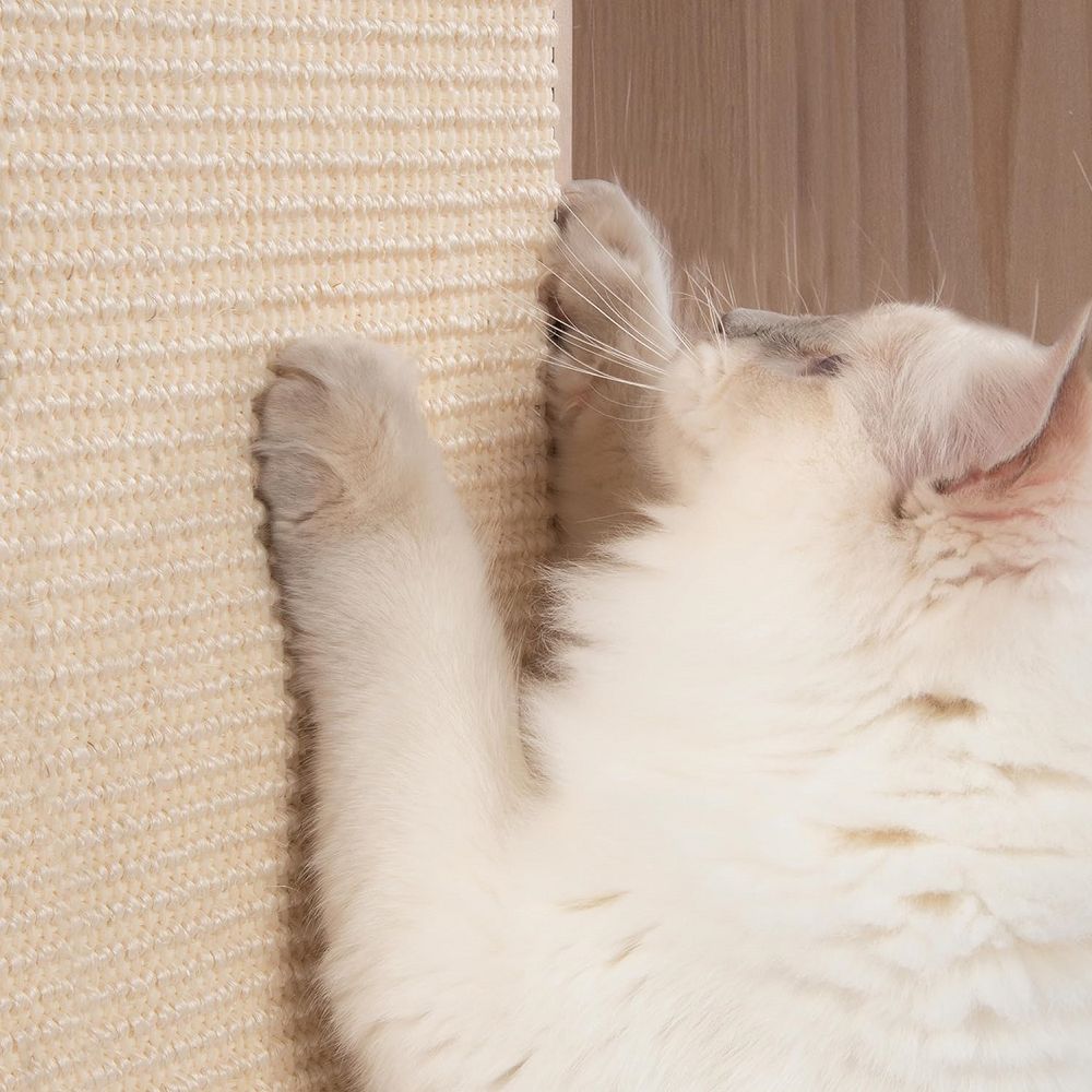 Premium Cat Scratching Tree for Indoor & Outdoor Use - Durable Scratching Post for Cats with Multiple Levels & Cozy Perches - Perfect for Patio, Garden, or Living Room Playtime