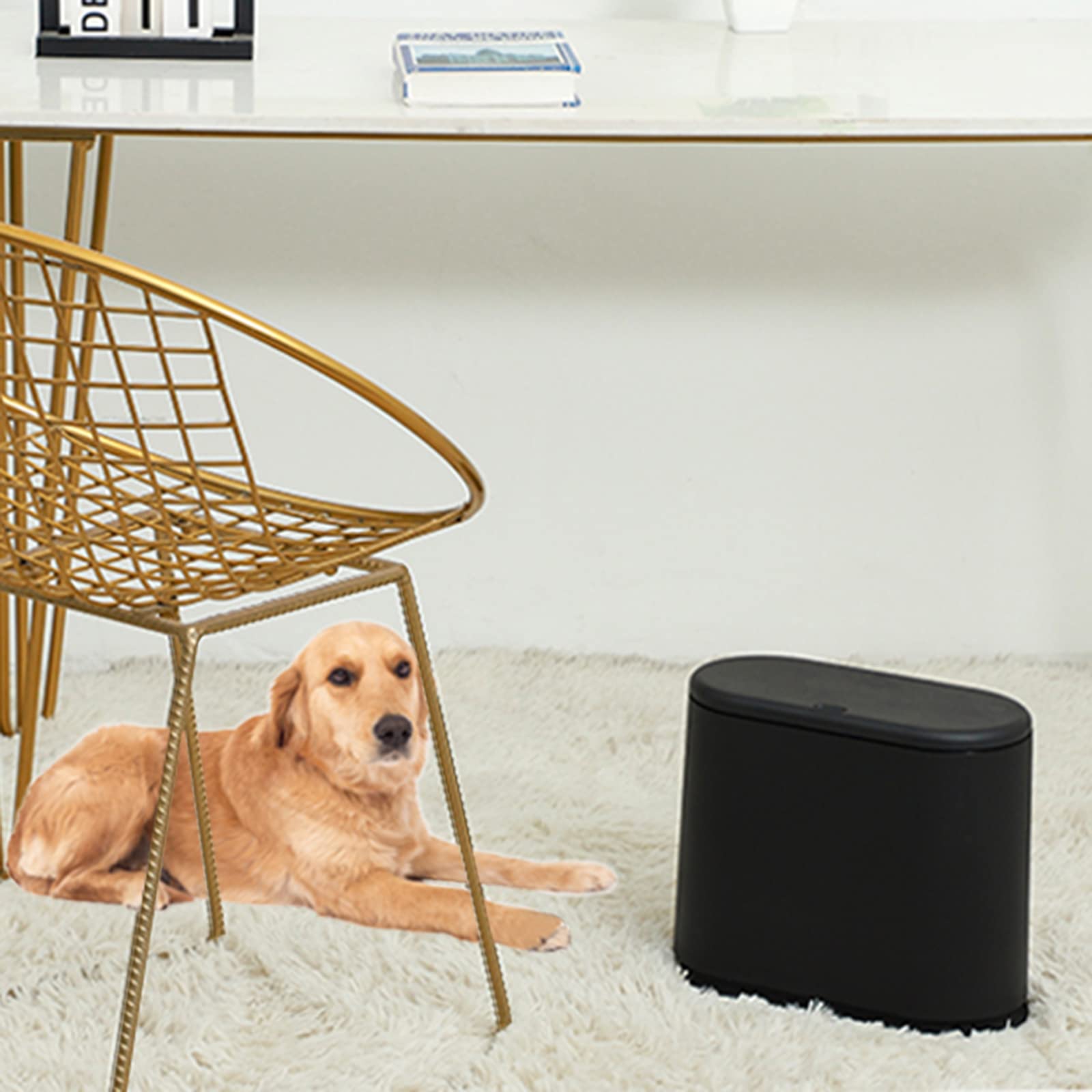 12L Press-Top Plastic Trash Can - 3.17 Gallon Narrow Bathroom Garbage Bin with Lid, Dog-Proof Design for Bedroom, Kitchen, Office & Dorm - Ideal for Small Spaces & Pet Owners (Black, Pack of 1)