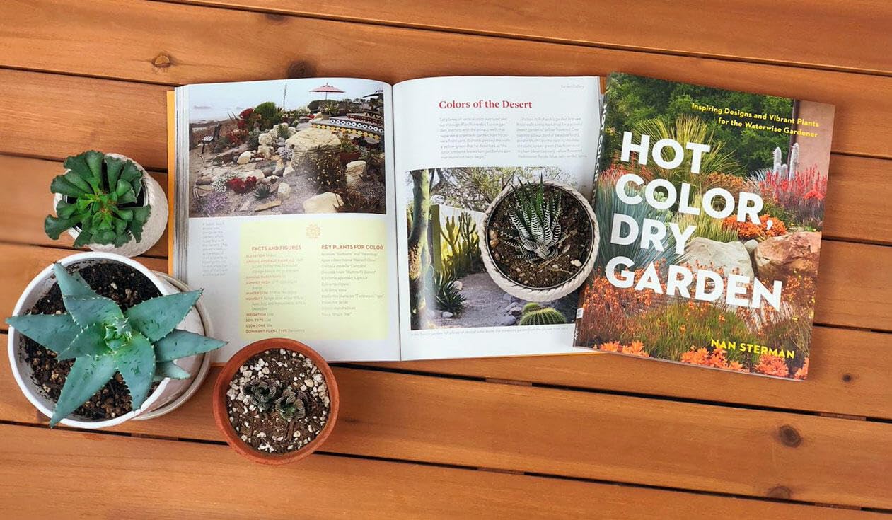 Vibrant Drought-Tolerant Plants & Stunning Dry Garden Designs - Waterwise Landscaping Ideas for Eco-Friendly Gardens | Perfect for Xeriscaping, Desert Gardens & Low-Maintenance Yards
