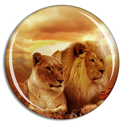 Lions