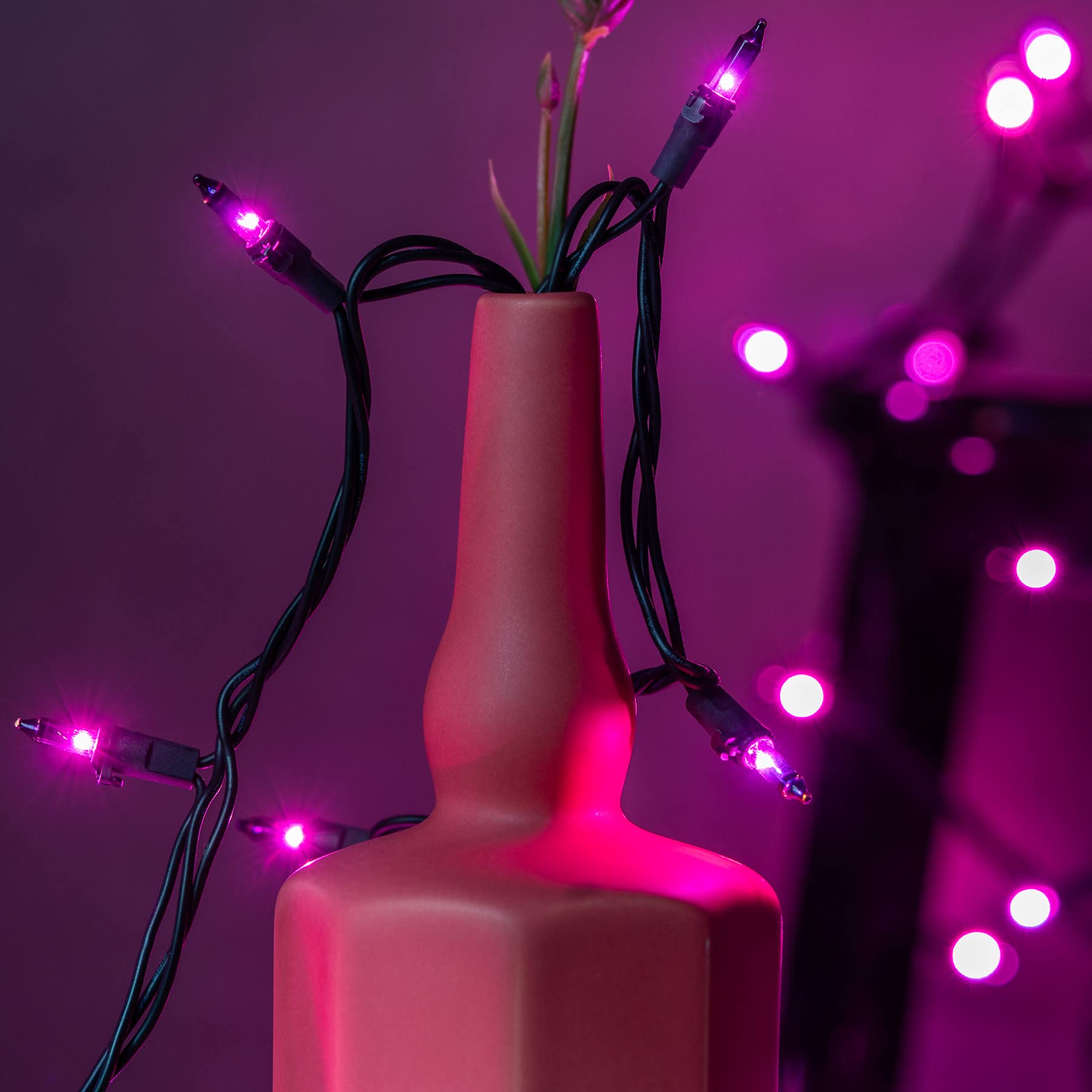 YULETIME 66ft 200-Count Purple Halloween String Lights with Black Wire - UL Certified Christmas Lights, 2 Pack (33ft 100-Count Each) - Perfect for Indoor/Outdoor Halloween Decor, Christmas Tree Lighting & Party Decorations