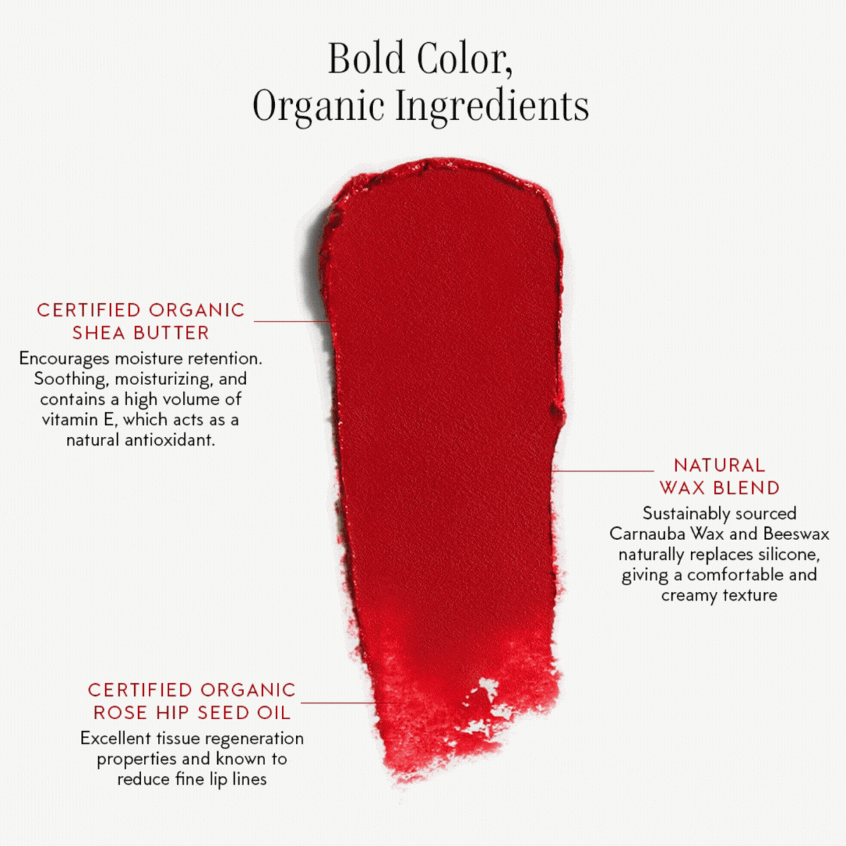 Long Lasting Matte Lipstick - Euphoria Shade | Waterproof & Smudge Proof | Perfect for Parties, Dates & Everyday Wear