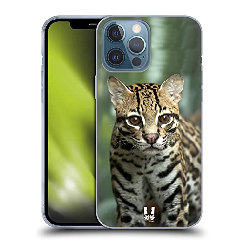 Closeup Of An Ocelot