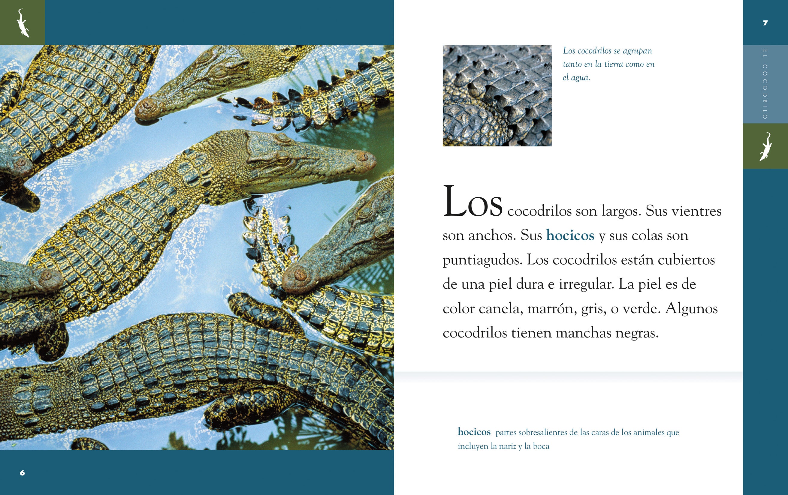 Crocodile Book for Kids - 9781640262591 - Educational Wildlife Reading for Children & Classroom Learning
