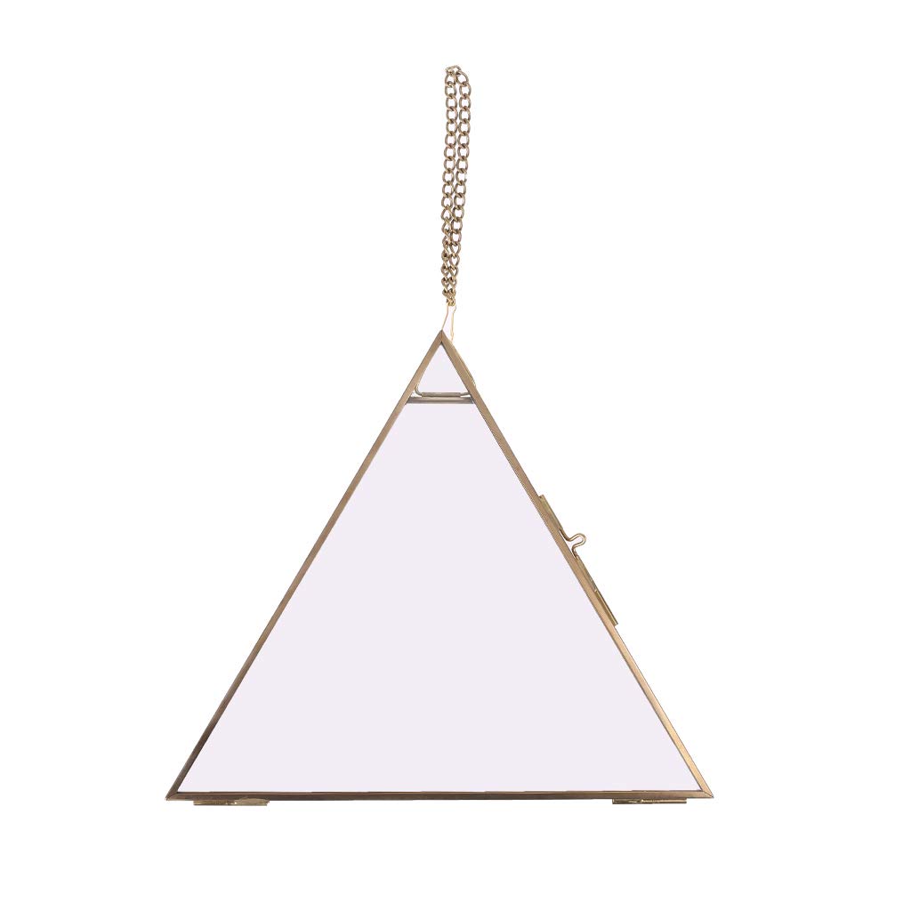 Q-XIAOKEAI Triangle Floating Hanging Photo Frame - Metal & Glass Wall Decor for Portraits, Pictures, and Small Plants | Perfect for Living Room, Bedroom, and Office Display