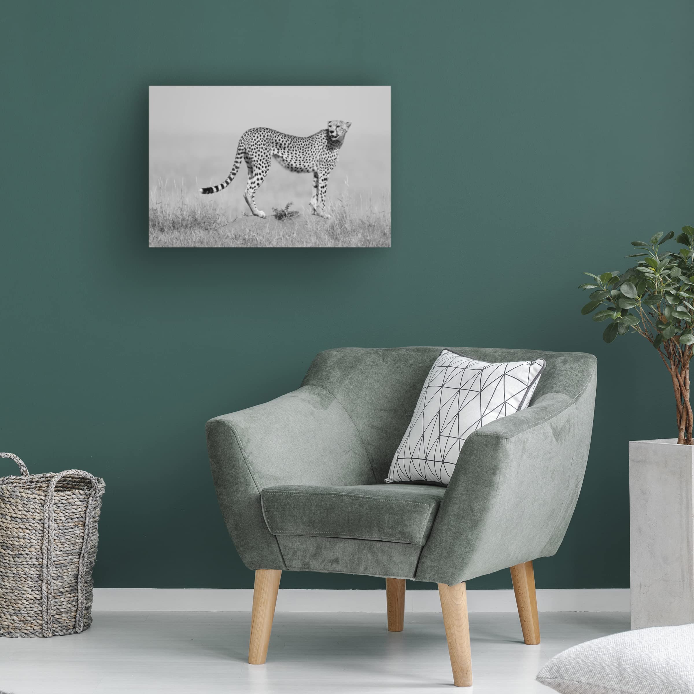 Trademark Fine Art 'Elegance In Black And White' Canvas Wall Art by Marco Pozzi - Modern Abstract Painting for Living Room, Bedroom & Office Decor