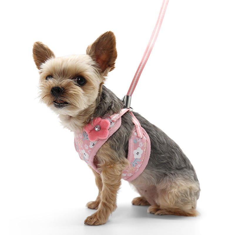 EasyGO Sweet Floral Dog Harness - Adjustable Pet Vest with Soft Padding for Small to Medium Dogs - Perfect for Walks, Training & Outdoor Adventures
