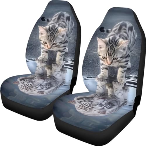 Cat Reflection Tiger