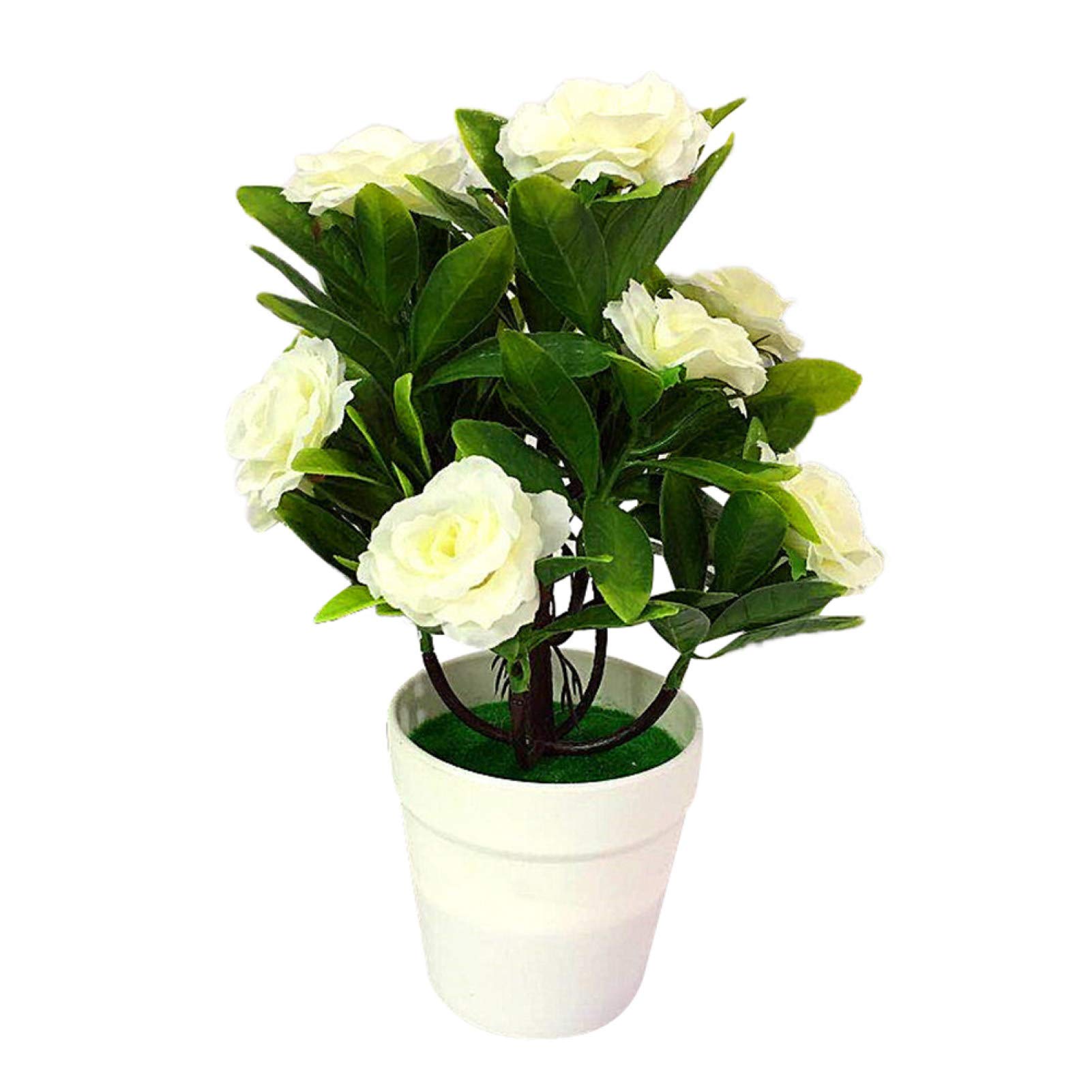 Artificial Plants and Fake Flowers Set - 1 Potted Artificial Rose and Pine Tree Bonsai for Home, Office, Garden Decor (White) | Perfect for Living Room Centerpiece, Desk Decor & Outdoor Landscaping
