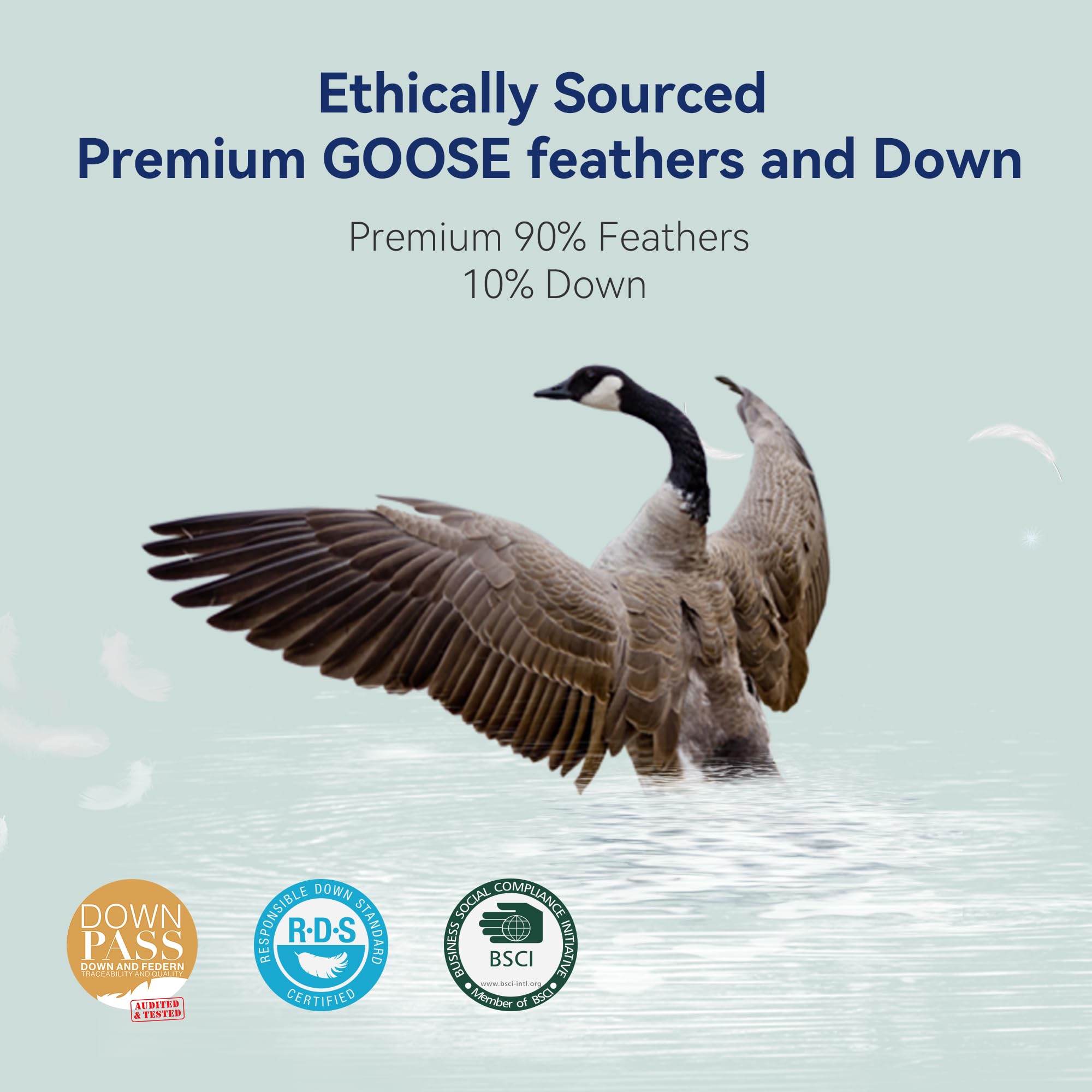 Luxury Goose Feather Down Pillows Queen Size Set of 2 - Ultra Soft Hotel Quality Bed Pillows for Side, Back & Stomach Sleepers - 20x30 Inches White Down Alternative Pillows - Perfect for Bedroom, Guest Room & Airbnb