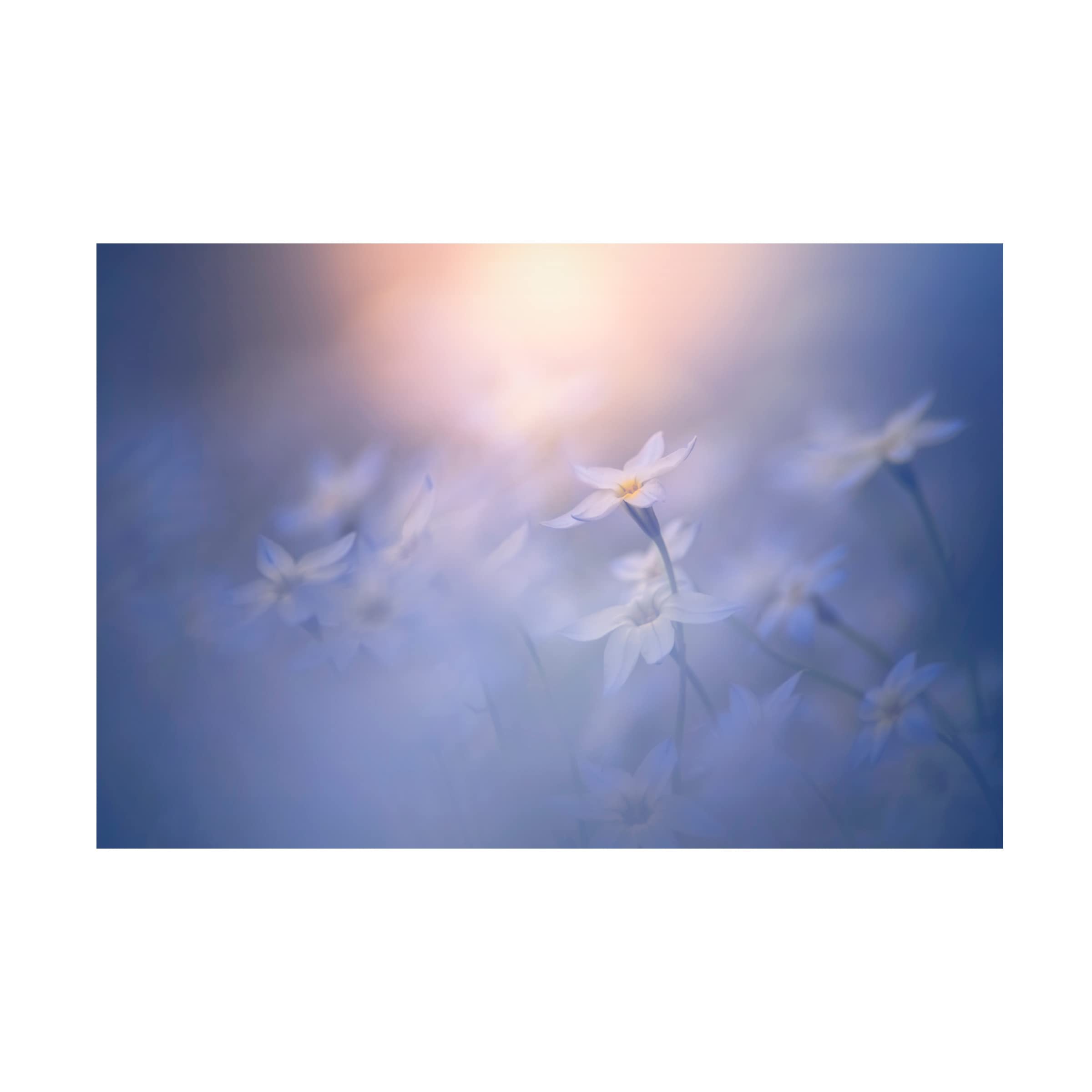 Trademark Fine Art 'In The Pale Light' Canvas Wall Art by Takashi Suzuki - Modern Abstract Painting for Living Room, Bedroom & Office Decor