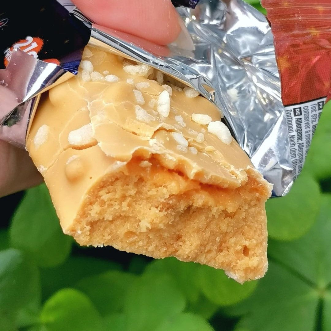 Battle Bites Protein Bars - High Protein Low Sugar Snack Bars (12 Pack, 62g Each) - Variety Pack All Flavors - Perfect for Gym, Hiking & On-the-Go Energy Boost
