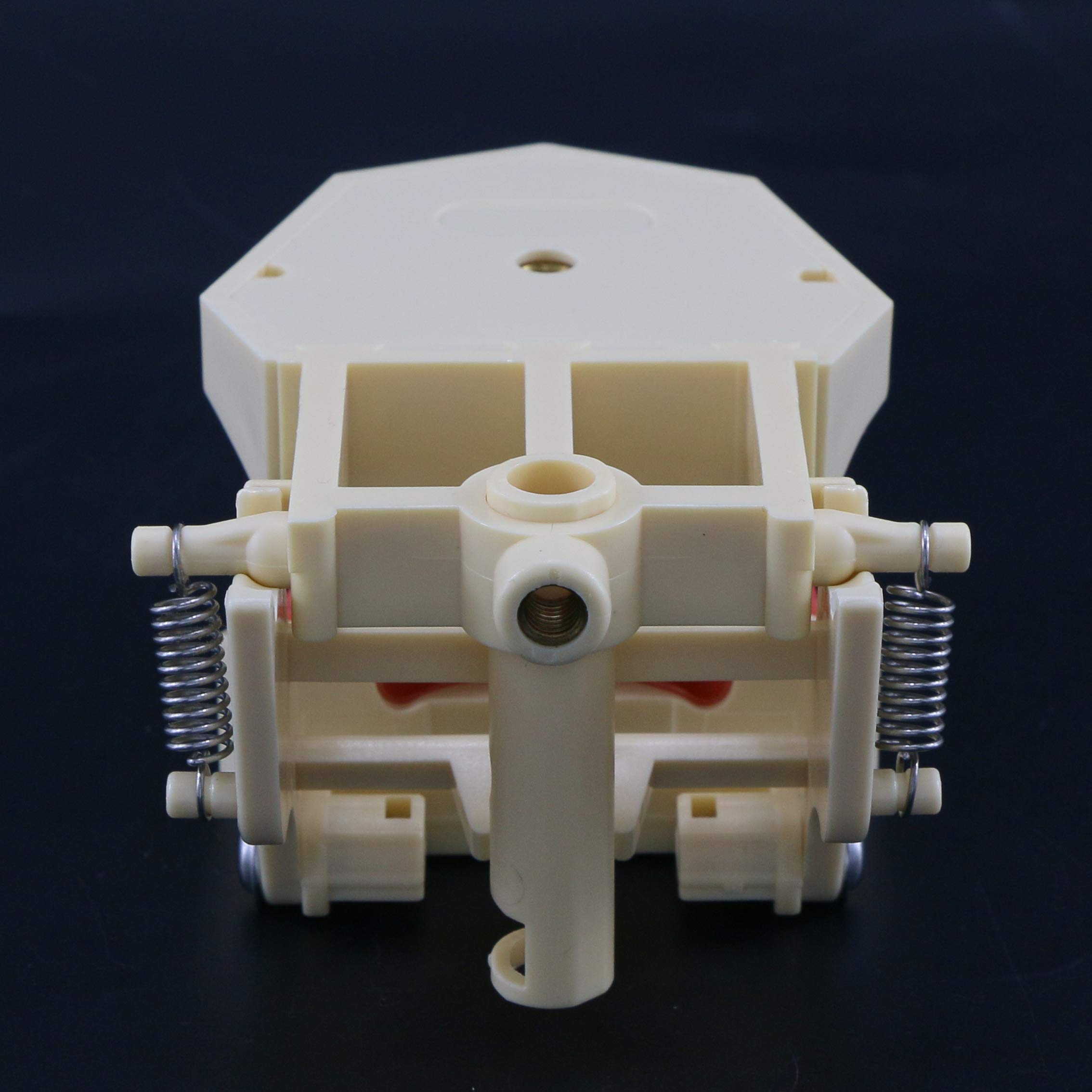 Standard Typodont Dental Model with 32 Removable Teeth - Ideal for Dental Technician Practice, Student Study & Clinical Demonstration - Soft Gum Realistic Training Aid for Dental Schools & Professionals