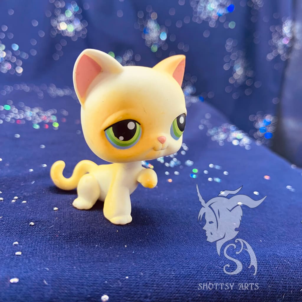Curious Kitties Interactive Cat Toy Playset - Fun & Engaging Playtime for Indoor Cats - Perfect for Kittens & Adult Cats to Stimulate Hunting Instincts