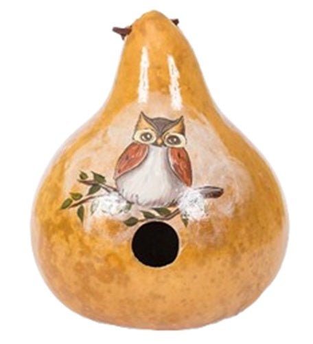 Hand-Painted OWL Gourd Birdhouse - Amish Crafted in USA | Unique Garden Decor for Backyard & Patio