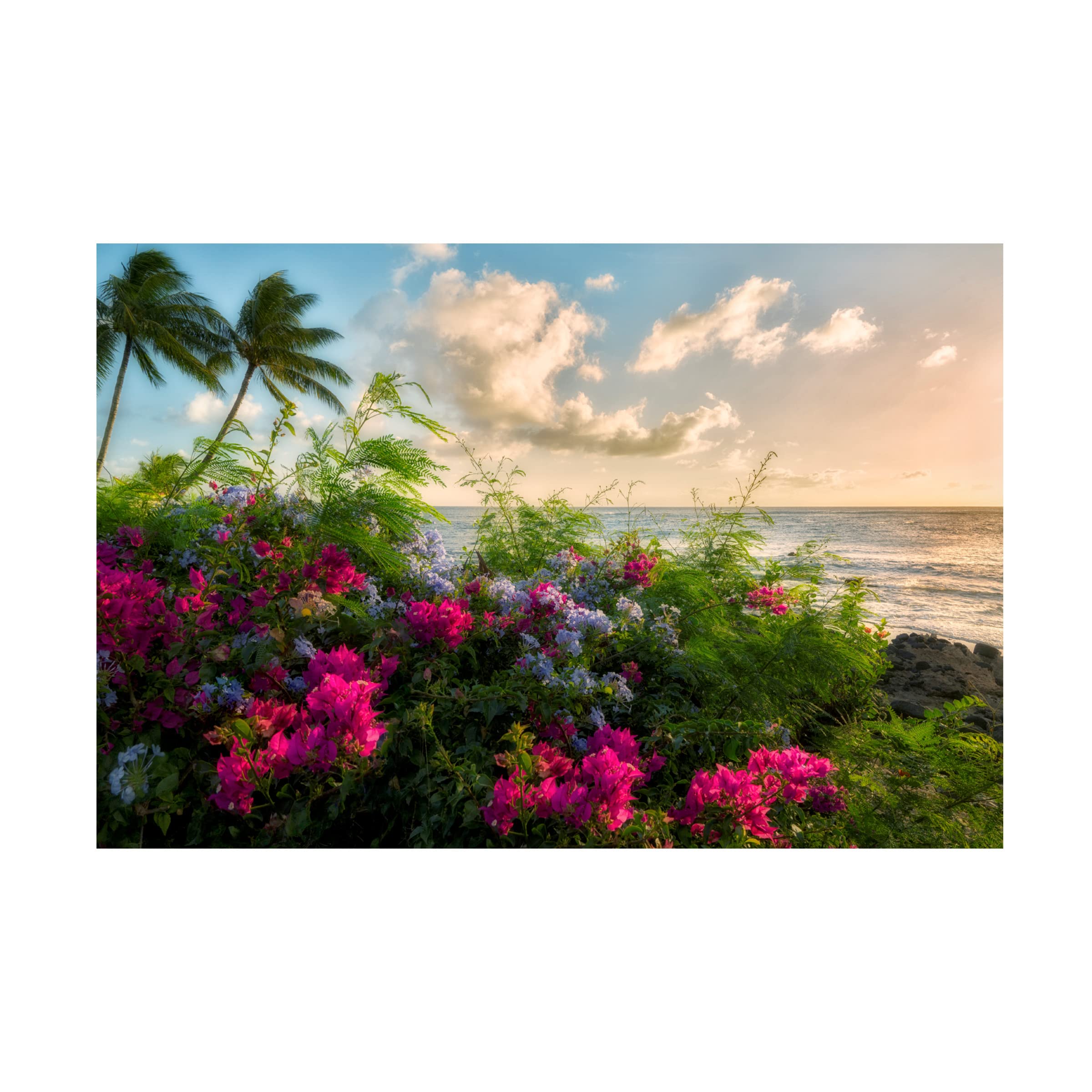 Trademark Fine Art 'Wild Flowers' Canvas Wall Art Print by Dennis Frates - Vibrant Floral Home Decor for Living Room, Bedroom & Office