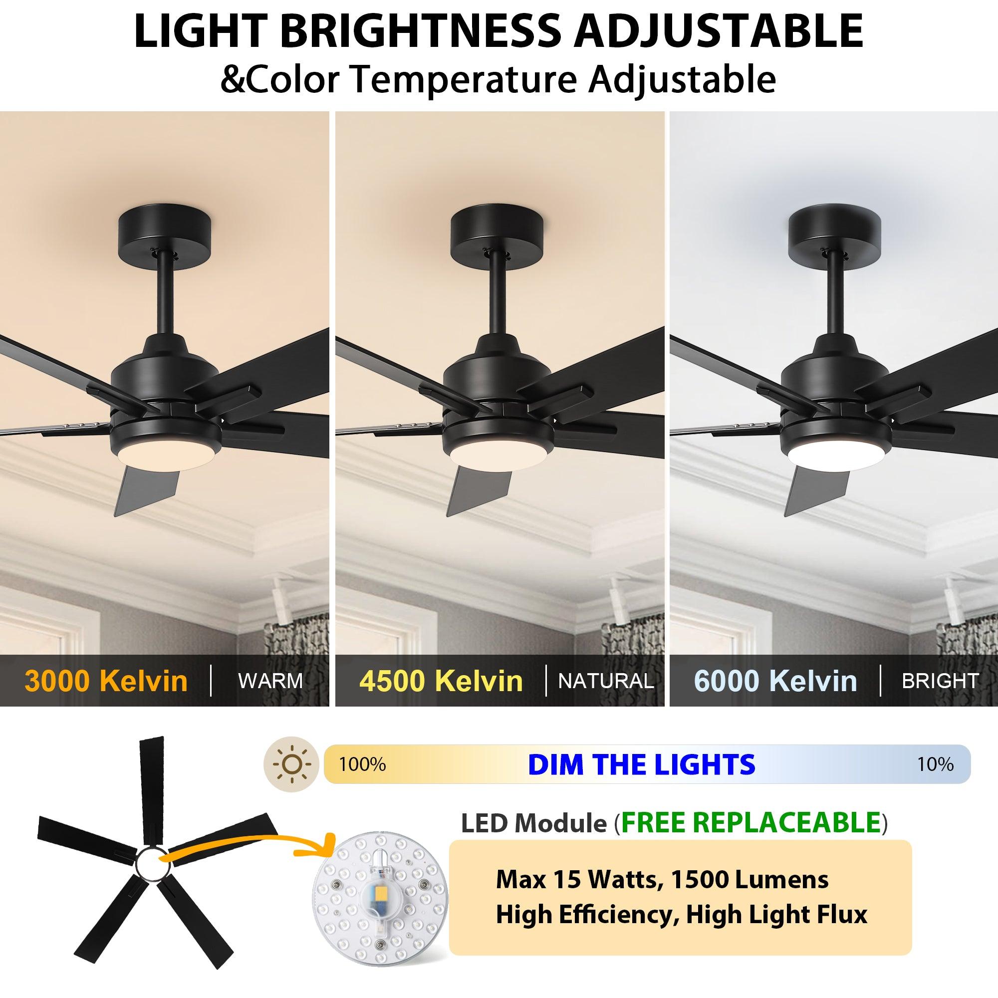48 DC Motor 5-Blade Modern Ceiling Fan with Downrod Mount - Perfect for Living Room, Bedroom, and Office Cooling
