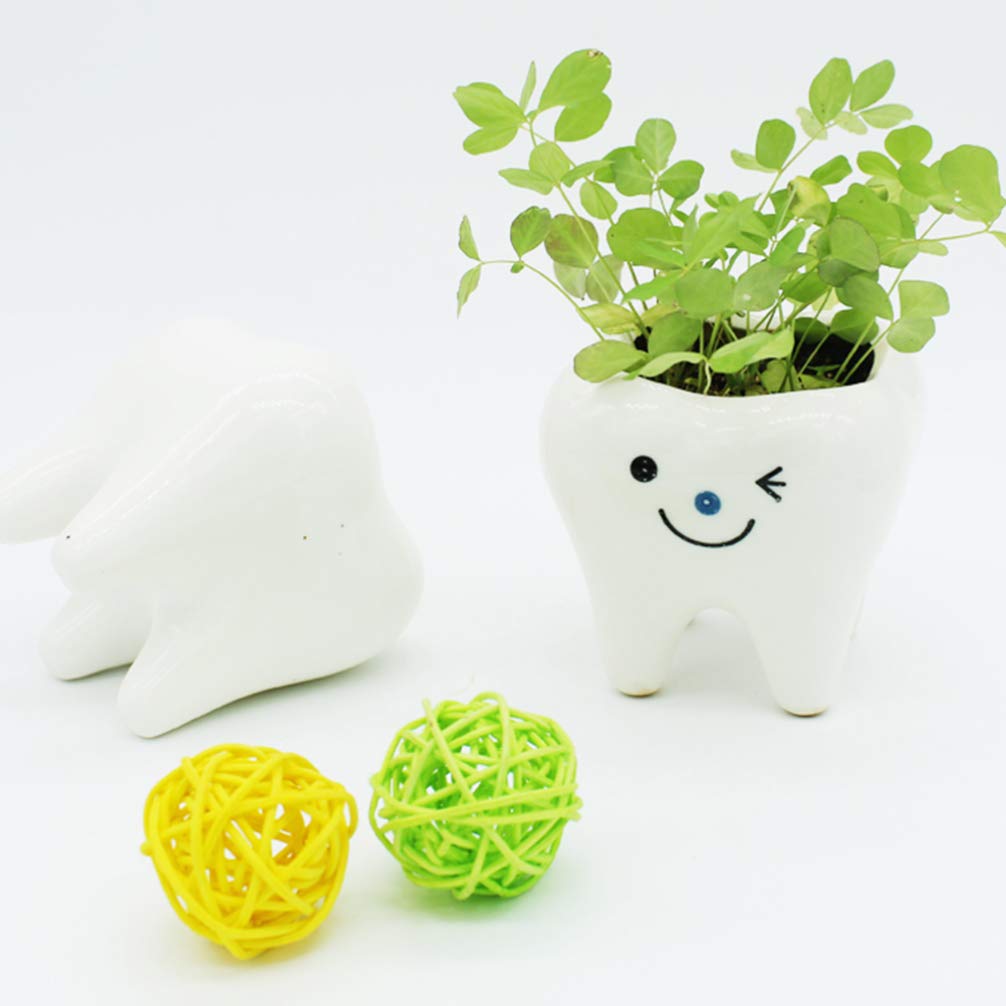 Garneck Ceramic Tooth Planter Pots - Set of 2, Creative Tooth-Shaped Flower Pots for Succulents, Cacti & Small Plants - Unique Home & Office Decor for Desks, Windowsills & Gifts