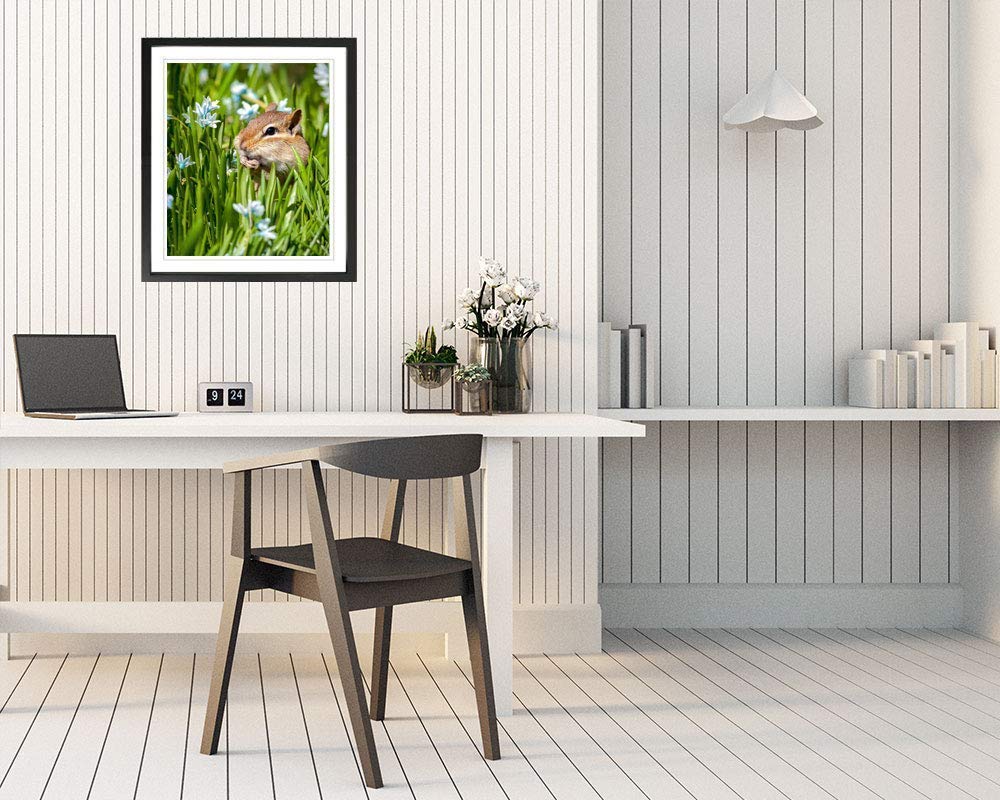 Chipmunk Wall Art Photography - Cute Wildlife Decor for Living Room, Bedroom & Office | Nature-Inspired Home Decor