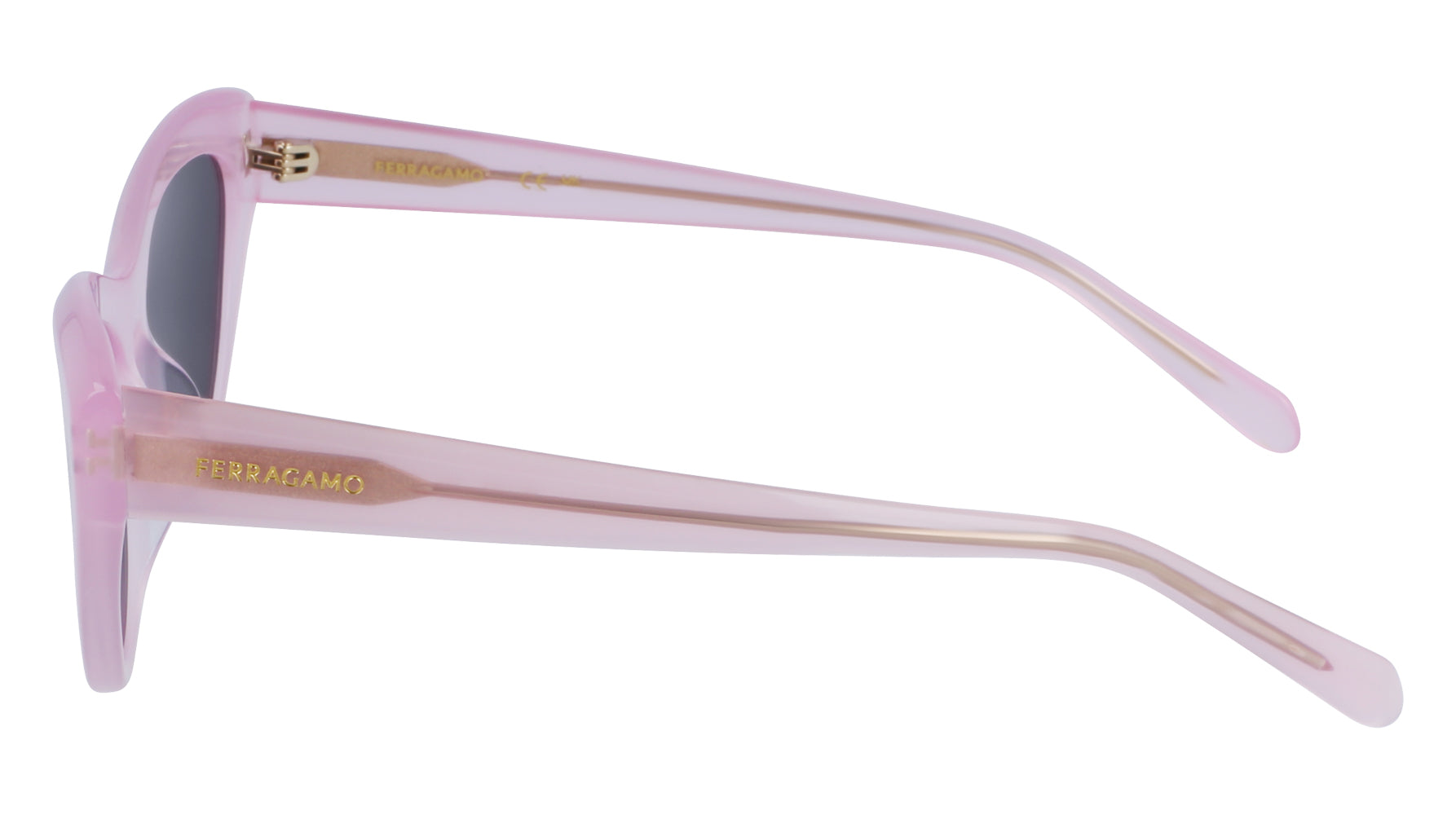 Ferragamo SF1103S Sunglasses for Women - Luxury Designer Shades with UV Protection - Perfect for Outdoor Activities, Travel, and Fashion Accessories