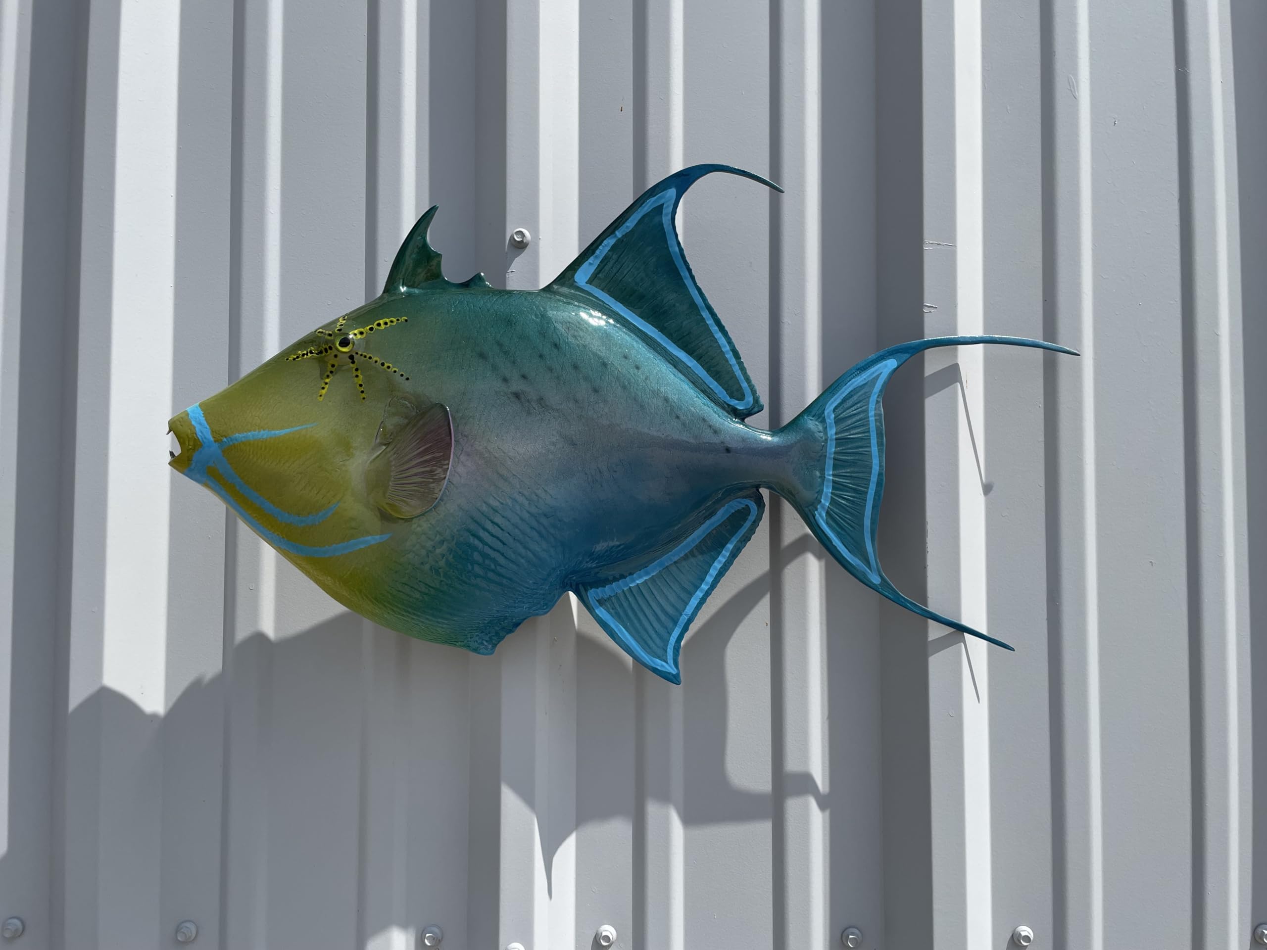 Queen Triggerfish Half Mount Fish Replicas - 2 Sizes (12in & 18in) - Indoor/Outdoor Durable Resin Decor - Realistic Taxidermy Alternative for Home, Office, or Man Cave Wall Display