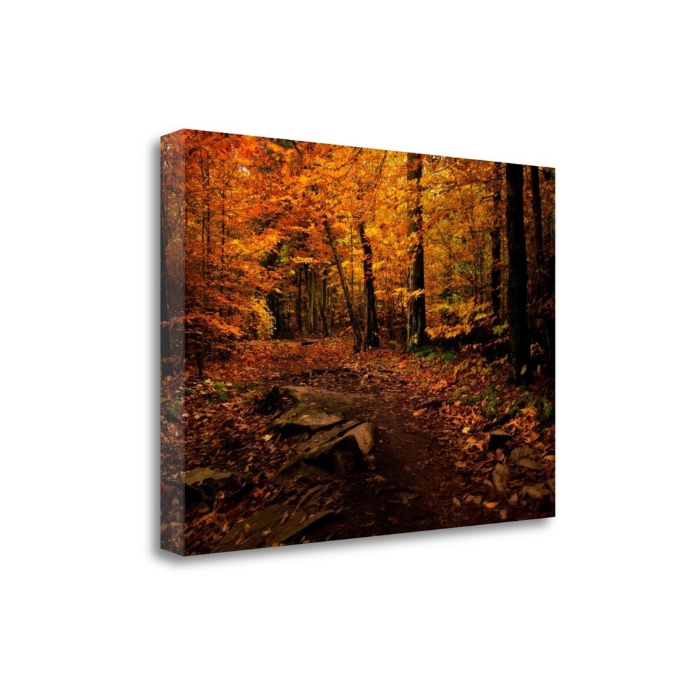 Autumn Path By Natalie Mikaels - Premium Giclee Art Print on Gallery Wrapped Canvas, Handmade Wall Decor for Living Room, Bedroom & Office - Ready to Hang Landscape Painting
