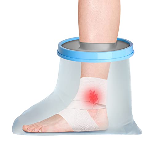 Adult Foot/Ankle