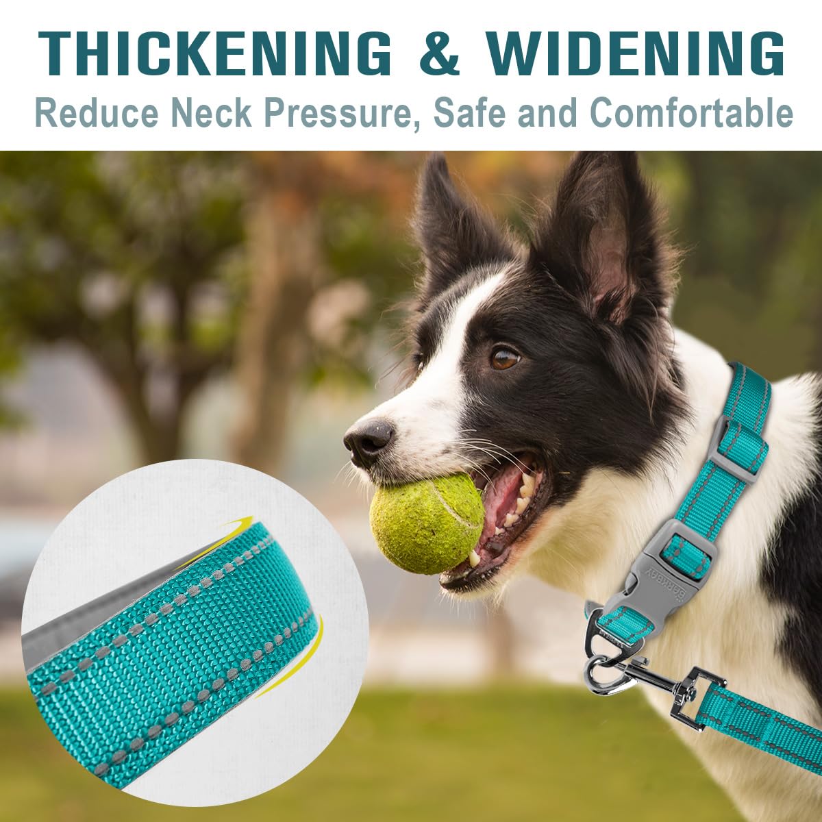 Reflective Dog Collar and Leash Set - Soft Neoprene Padded 2-Pack for Small, Medium & Large Dogs (Blue, Small) | Perfect for Night Walks, Training & Outdoor Adventures