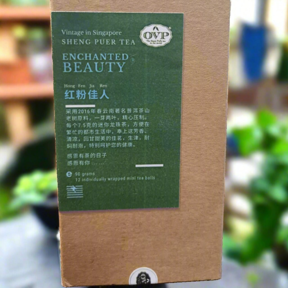 Premium PuEr Tea Dragon Pearls - 12 Count Box | Authentic Old Village Enchanted Beauty Tea | Perfect for Relaxation, Gifting & Afternoon Tea Time